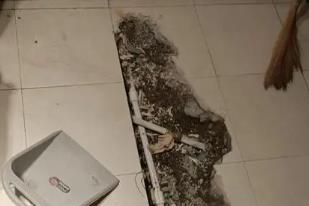 博白卫生间漏水检测电话